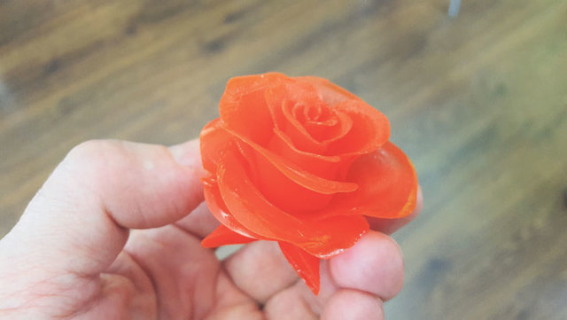 Троянда. Технологія створює точну геометричну копію квітки. Фото: Sprybuild