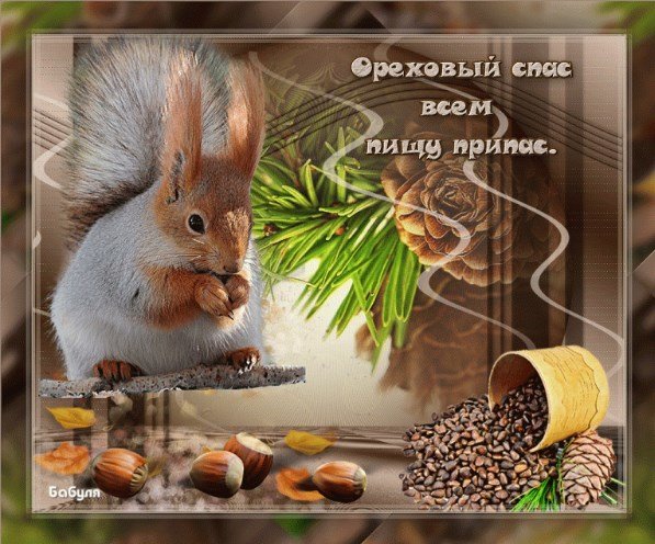 Ореховый Спас-2018: поздравления, открытки и картинки с праздником. Фото: из открытых источников