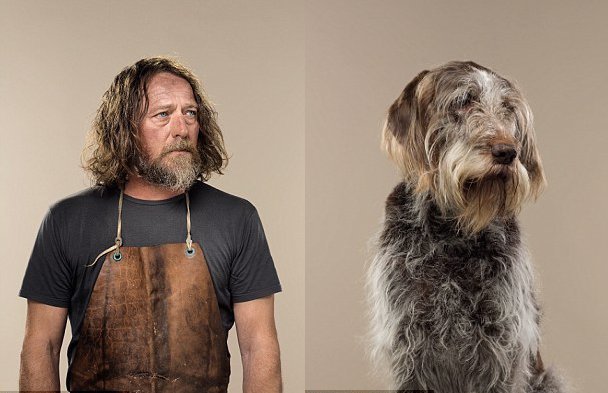 Неймовірна схожість собак і людей. Фото: Instagram