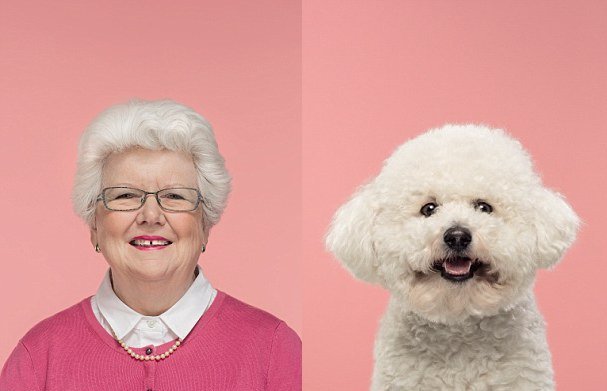 Неймовірна схожість собак і людей. Фото: Instagram