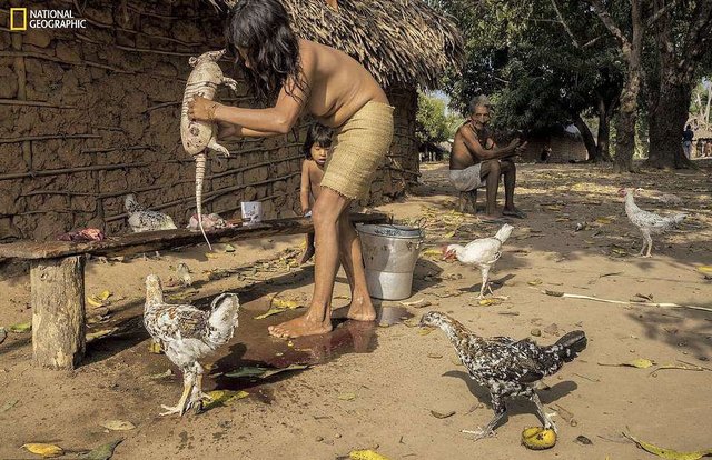 Жителі племені Ава. Фото: National Geographic