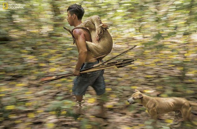 Жители племени Ава. Фото: National Geographic