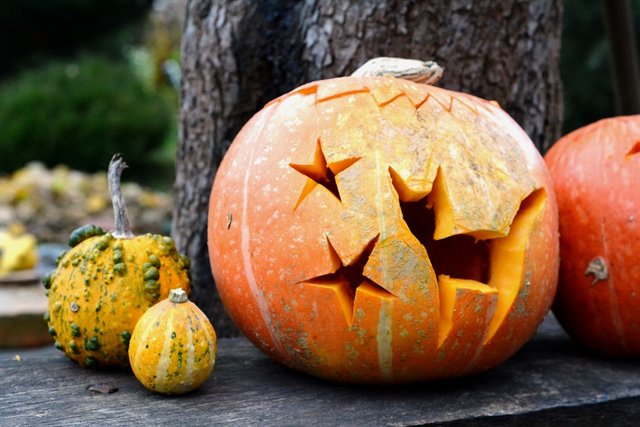 Идеи классического Светильника Джека на Хэллоуин | Фото: Pixabay