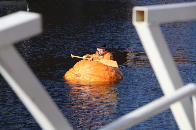 Англієць пливе в гарбузі | Фото: Фото: Richard McDougall для Yorkmix
