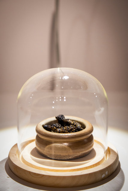 У Швеції відкрили музей огидних страв. Фото: cameralabs.org