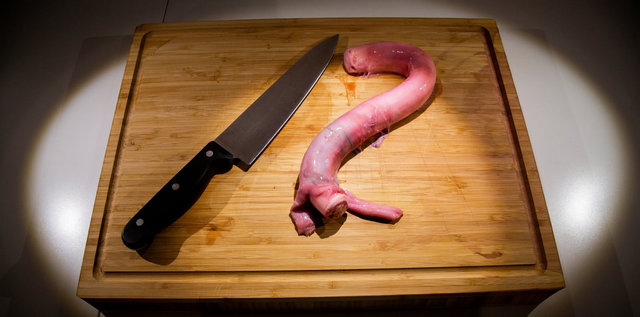 В Швеции открыли музей отвратительных блюд. Фото: cameralabs.org