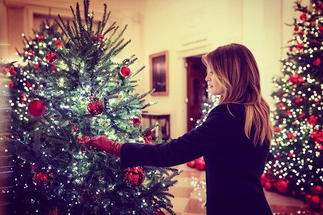 Мелания Трамп нарядила елку | Фото: Фото: instagram/flotus