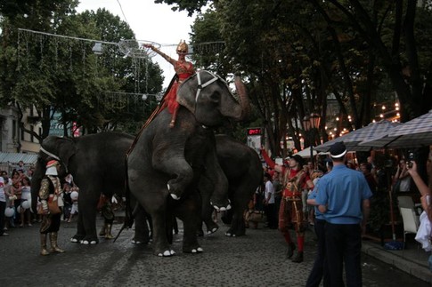 Звезда. Самая опытная и смелая слониха цирка Ранго возила на себе дрессировщицу, фото Ю. Андрианова
