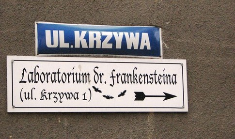 Родина легенды о Франкенштейне – городок с "соответствующим" названием Зомбковице. Лаборатория находится по адресу: ул.Кривая, 1.<br />
Фото: А.Мазур