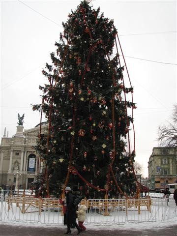 Новогодняя елка во Львове. Фото А. Харченко