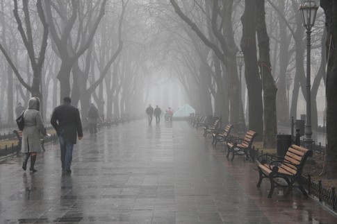 Туман. Увидеть противоположную сторону улицы практически невозможно, фото А. Лесик