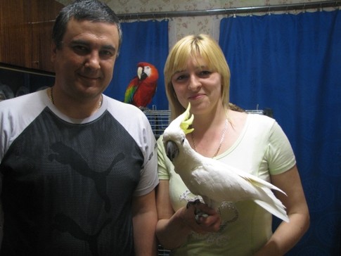 Попугаи, фото А.Пасюты