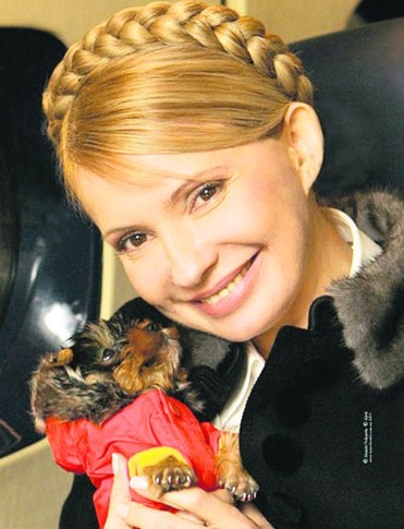 У Тимошенко — три собаки