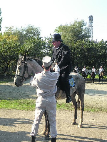Лишь один констебль попробовал оседлать украинскую лошадь