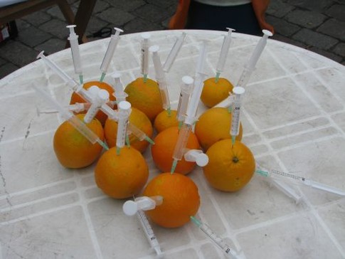 На площади Свободы кололи апельсины, фото А. Половинкина