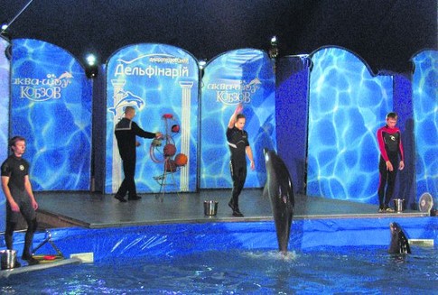 Премьера. Специально к Новому году великолепная троица дельфинов разучила новые трюки. Фото: М. Скиданова