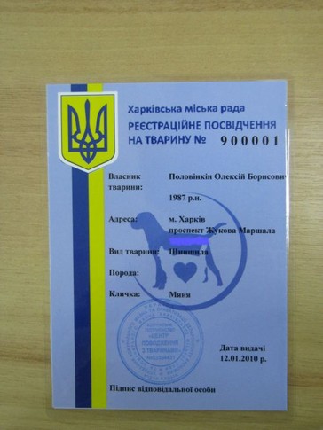 Паспорт шиншилы, фото Ю. Тесленко