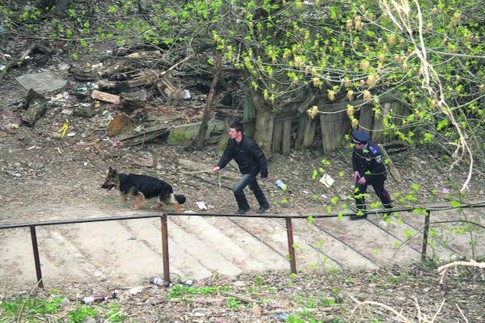 Поиски. Правоохранители шерстят Чернигов вдоль и поперек с собаками в поисках маньяка. Фото И. Грищенко