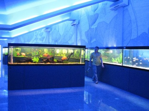 Харьковский океанариум, фото Л. Полишко