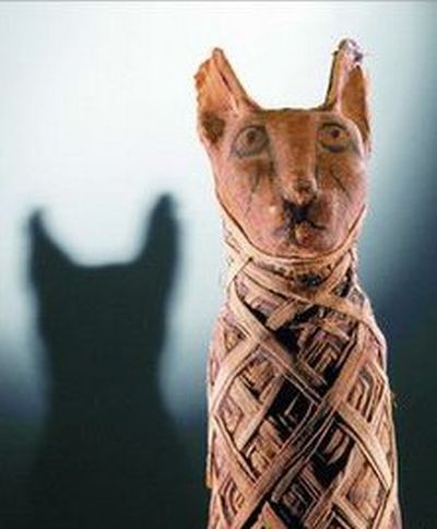 Древнеегипетская скульптура кошки. Фото ВВС 