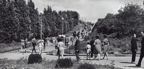 Ботсад в 50-х. Фото из архива