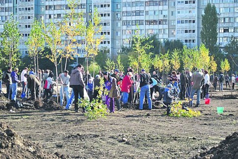 Добровольцы. Высадили 300 деревьев и 50 кустов жасмина и спиреи. Фото: Одесский форум