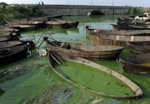 В Китае загрязнена шестая часть водных ресурсов. Фото Reuters