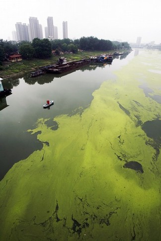 В Китае загрязнена шестая часть водных ресурсов. Фото Reuters