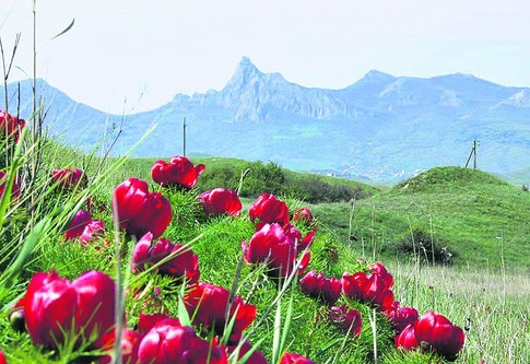 Восточный Крым. В начале мая склоны Карадага покрыты цветами