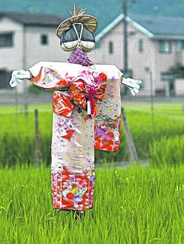 Япония. Одежка отдаленно напоминает кимоно