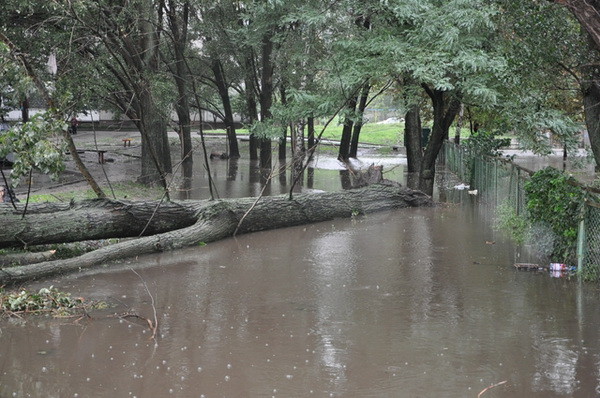 В Запорожье из-за обильных дождей образовалось настоящее озеро площадью 2 гектара! Фото: 34 канал 