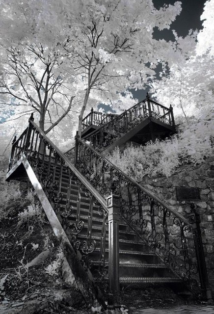 Ступени. Лестница на Замковую гору. Фото elektraua.livejournal.com