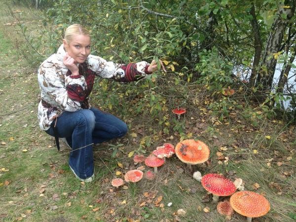 Анастасия Волочкова нашла в чаще дюжину мухоморов
