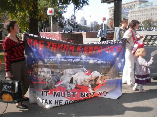 Защитники животных вспомнили убийства собак перед Евро-2012. Фото: 057.ua