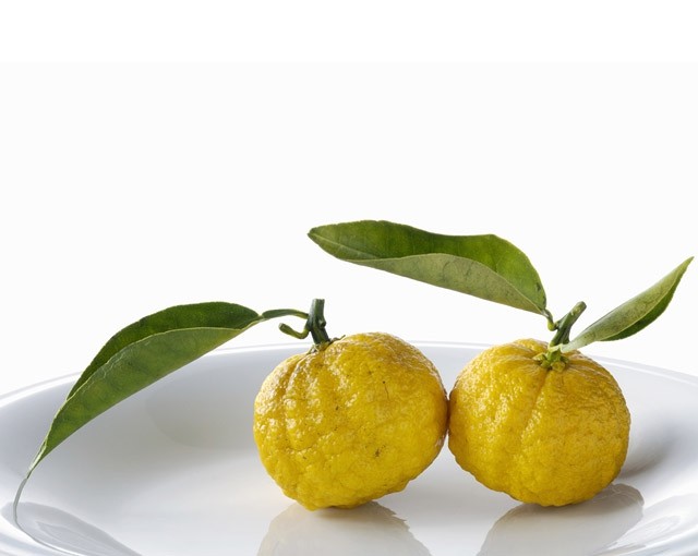 Юзу. Энергетическая ценность: 30 ккал. Полезные элементы: витамин С.<br />
Юзу, или японский лимон, — гибрид мандарина и ичангской папеды (декоративный цитрус). Желтого или зеленого цвета фрукт с бугристой кожицей размером с мандарин имеет яркий аромат и кислый вкус. Юзу применяется в большинстве случаев для отдушки. У него потрясающий аромат — цитрусовый, с нотами хвои и цветочными оттенками. Цедра юзу — одна из популярнейший японских приправ. Она используется для мясных и рыбных блюд, добавляется в суп мисо, лапшу. На основе цедры делаются алкогольные и безалкогольные напитки, джемы, сиропы, десерты. Кислый, ароматный и не такой прямолинейный, как лимонный, сок юзу используется в качестве уксуса, также он служит основой для популярного соуса понзу. Фото: Fotobank / Getty Images