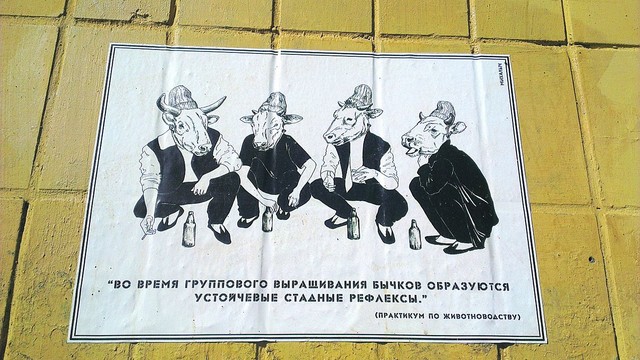 В Донецке таинственный Михалыч бичует пороки мегаполиса. На одной из листовок изображена четверка парней с бычьими головами, сидящих на корточках с пивом и сигаретами. Фото А. Сергеев