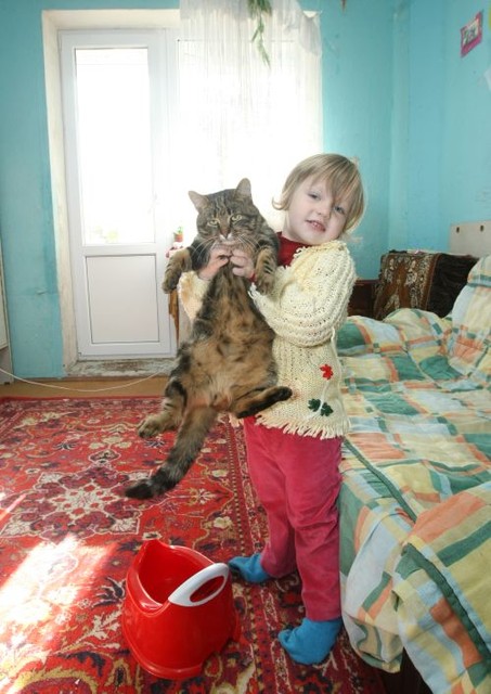 Мурчик. Единственный мужчина в доме — пушистый кот | Фото: Александр Яремчук