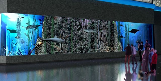 Аквариум. Ширина акрилового стекла 11 м, высота — 3 м, толщина — 17 см. Фото oceanplaza.com.ua