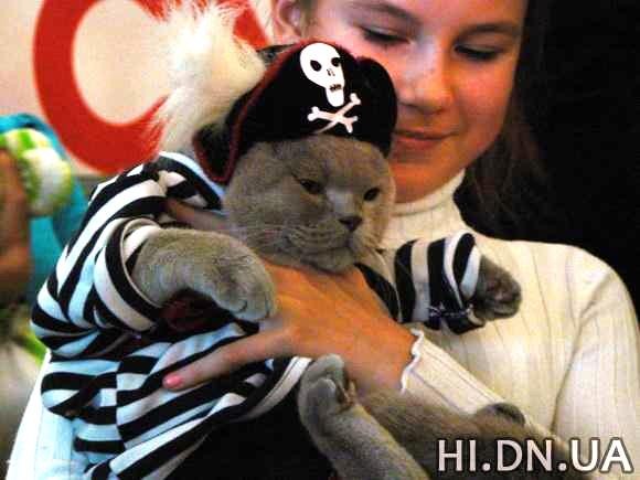 Кот в костюме пирата занял третье место. Фото: http://hi.dn.ua
