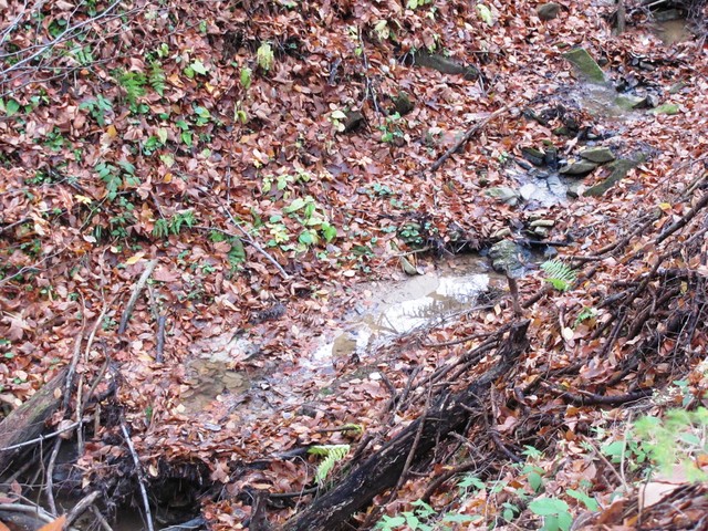 Вода в горных потоках исчезла почти полностью. Фото: М.Шевченко