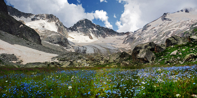Главный кавказский хребет. Горы, укрытые снегом, и поле, усеянное дивными синими цветами