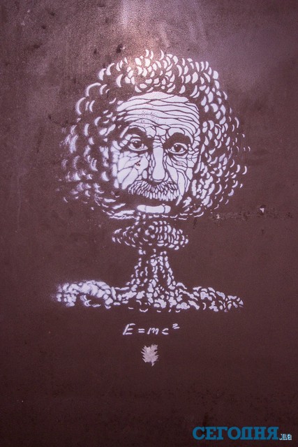 Изображение Эйнштейна на двери одного из домов по улице Горького (метро Льва Толстого)
