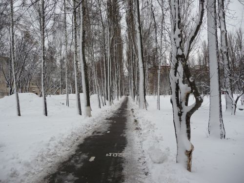 "Комунальники "лають" цю зиму, а я насолоджуюсь її красою!", – пишет читательница "Сегодня" Наталия Капустянская