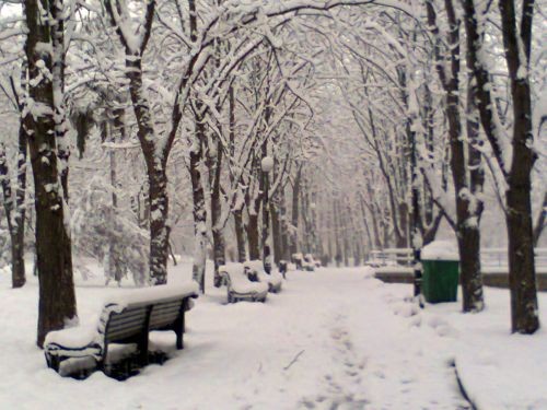 Утро в Куренёвском парке Киева. Фото прислала читательница "Сегодня" Наташа Аерова