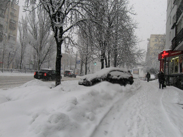 "В Киеве прекрасная погода! Плюс-минус тепло и сильный снег. И очень красиво :)", – пишет автор фото Елена Гальченко