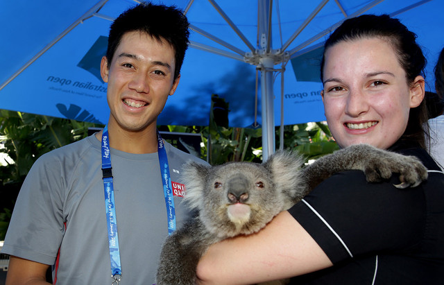 Кеи Нишикори и коала. Фото australianopen.com