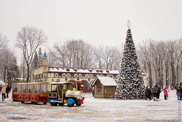 В парке им. Горького. В 2013-м появилось новогоднее дерево. . Фото: А. Мельничук