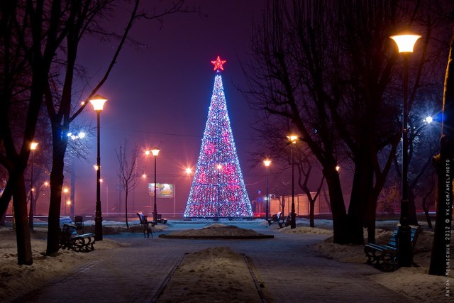 На Московском пр-те. В небольшом сквере установили елку из огней. Фото: А. Мельничук