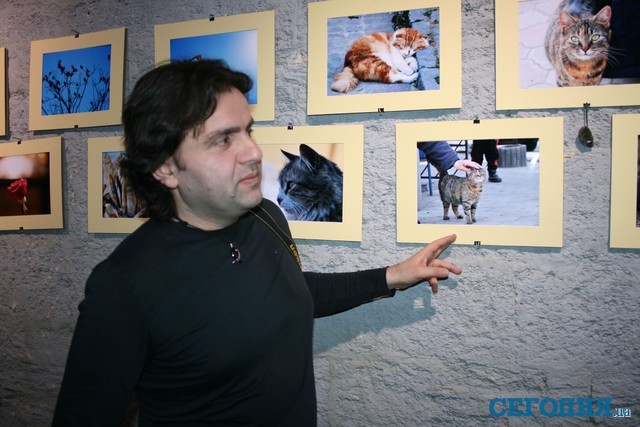 Кошки — фотомодели из разных стран<br />
Одесские, киевские и турецкие коты — на фотографиях фотохудожника из Турции Таха Али Халил (уже 3 года живет в Киеве). 