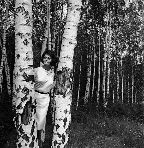 Итальянская дива Софи Лорен в 60-х приезжала на съемки фильма 